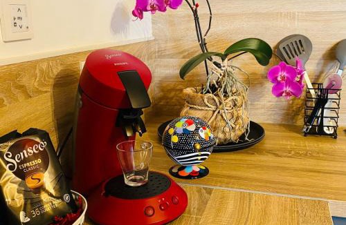 Nouan-sur-Loire House | Au charmant sarment