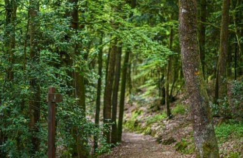 Sille-le-Guillaume Apartment | Au cocon de Sillé