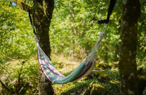 Chartrier-Ferriere Cabin | Au coeur de nos bois