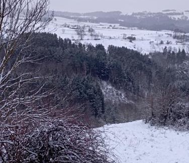 Laussonne Bed & Breakfast | Au Coin Doux des Badioux