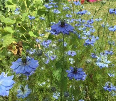 Villiers-le-Pre House | Au cottage normand