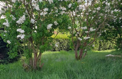 Savignies House | Au Domaine Cru