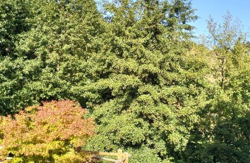 Lapoutroie House | Au fil de l'eau