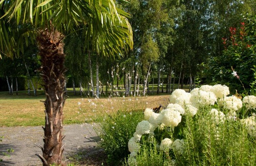 Savigneux Bed & Breakfast | Au fil du Vizézy - Chambre d'hôtes
