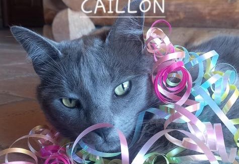 Ribeyret House | Au gîte de Saint Peyre Maison d'hôtes