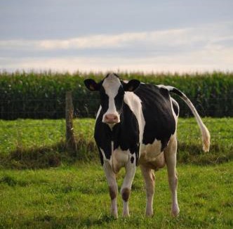 Monchy-au-Bois House | Au gîte du treuil