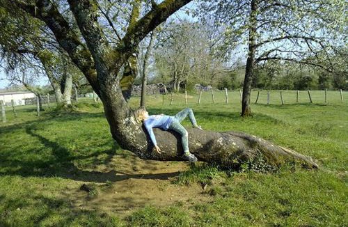 Celles-en-Bassigny House | Au grain de Celles