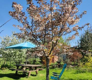 La Resie-Saint-Martin Bed & Breakfast | Au Jardin d'Isa