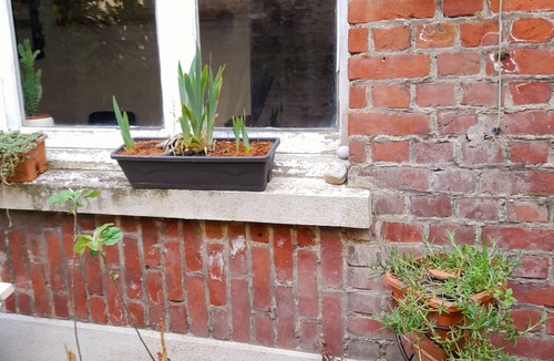 Tourcoing Apartment | Au Jardin Mini
