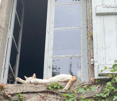 Moissac Bed & Breakfast | Au jardin Y