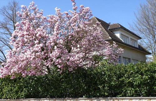 Esbarres Bed & Breakfast | Au Magnolia