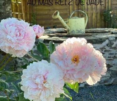 Chauve Bed & Breakfast | Au Mas Retz De Jade