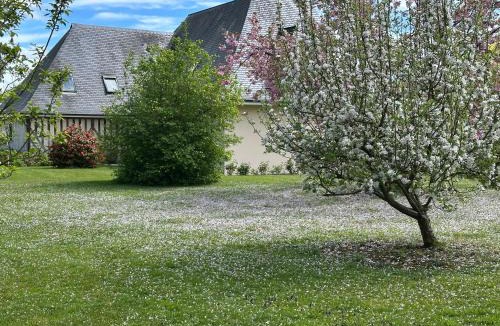 Saint-Pierre-Azif Bed & Breakfast | Au Milieu des Haras