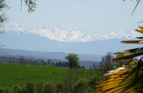 Blousson-Serian House | Au Moulié