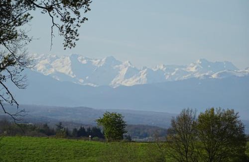 Blousson-Serian House | Au Moulié