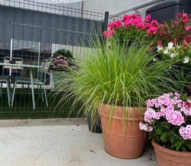 Pontailler-sur-Saone House | Au Numéro 7