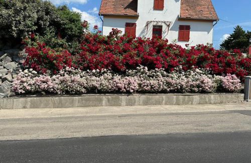 Gunstett Apartment | Au parfum des roses