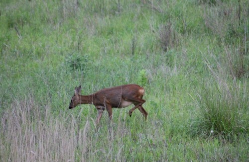 Verneuil-en-Halatte House | Au Perchoir de la Chouette