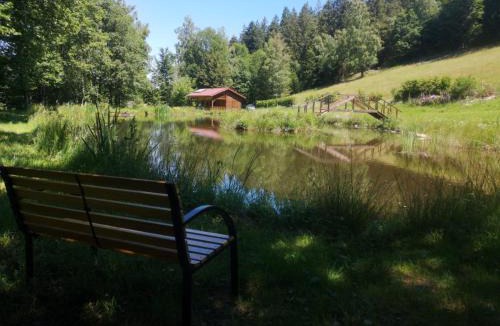 Le Tholy Ski Chalet | Au petit bonheur