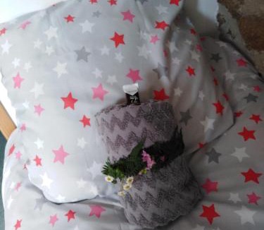 Putanges-le-Lac House | au petit bonheur