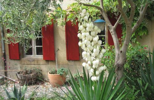 Pauligne Bed & Breakfast | Au pied du Figuier