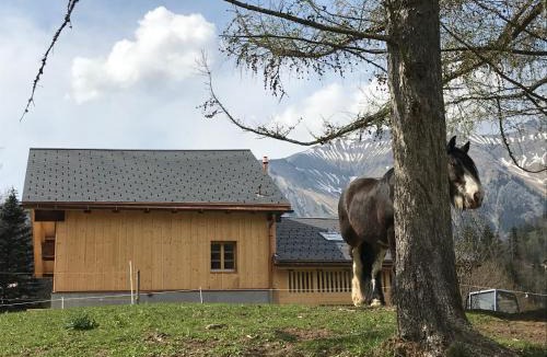 Chateau-d'Oex Bed & Breakfast | Au Pré des Chevaux