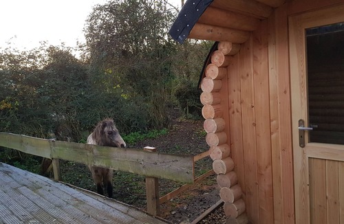 Saint-Martin-Choquel Ski Chalet | Au Repos du Cavalier