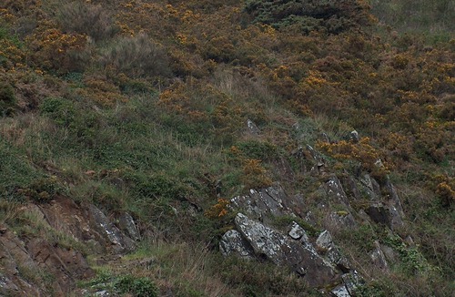 Champeaux Villa | Au Roc a Pic