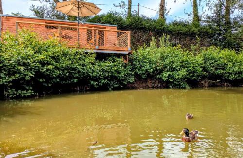 Litteau Other | Au silence des Peupliers