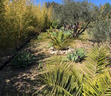 Le Bosc House | Au Soleil Levant
