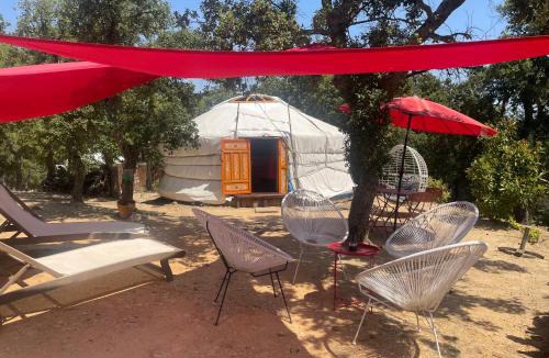 Sorede Bed & Breakfast | Au Soleil Mongol