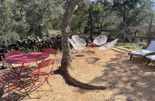 Sorede Bed & Breakfast | Au Soleil Mongol