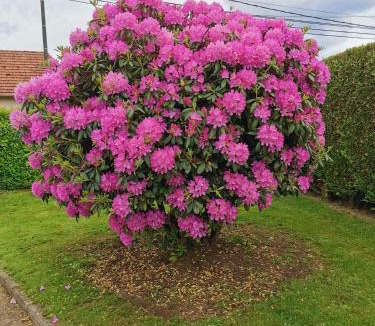 Morgny-la-Pommeraye Bed & Breakfast | Au verger de la Pommeraye