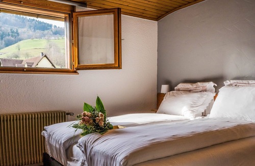 Lapoutroie Hotel | Au Vieux Moulin