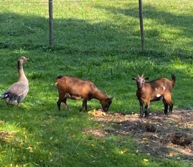 Montans House | Au vieux pressoir