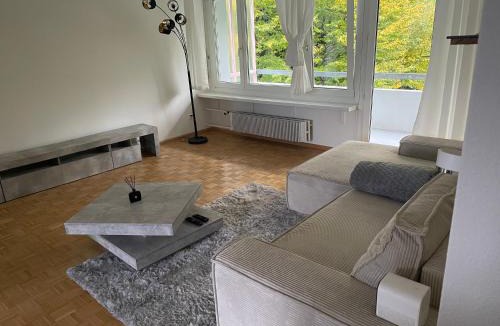 Horgen District House | Au Zimmer
