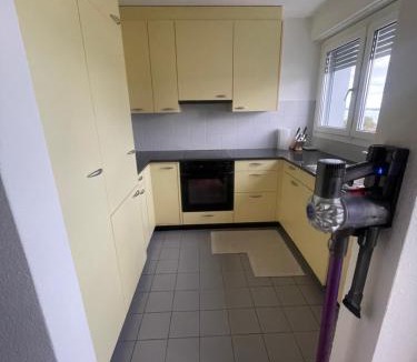 Horgen District House | Au Zimmer