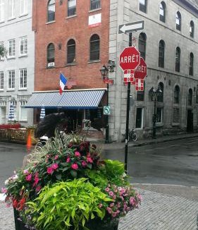 Old Montreal Hostel | Auberge Alternative
