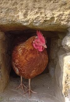 Saint-Jean-de-Monts Bed & Breakfast | Auberge BonBeauJoli