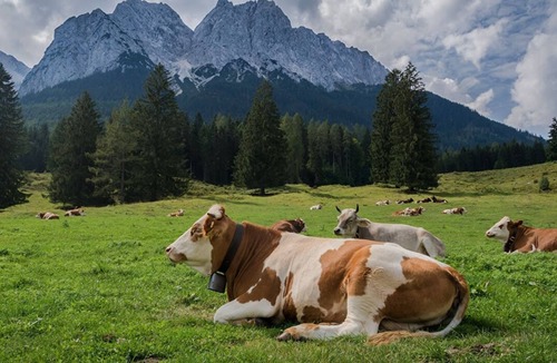 Saint-Paul-de-Varces Villa | Auberge de Saint Paul