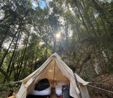 Calenzana Hotel | Auberge De La Foret Bonifatu