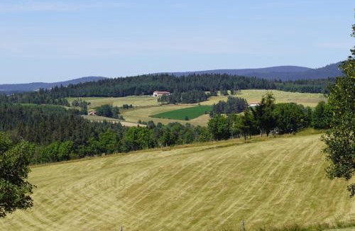 Saint-Bonnet-le-Froid Hotel | Auberge des Myrtilles