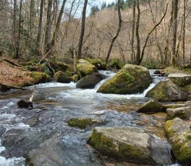 Arfeuilles Bed & Breakfast | Auberge du Précontent