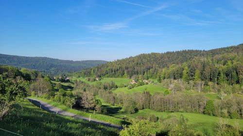 Le Hohwald Hotel | Auberge La Tête En L'Air
