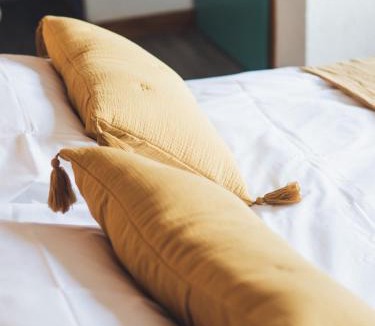 Valezan Hotel | Auberge Le Valezan