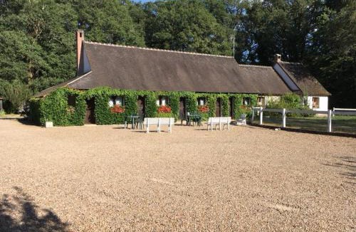Amboise Bed & Breakfast | Auberge Marcheroux