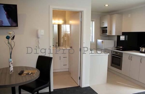 Remuera Hotel | Auckland Phoenix Palm