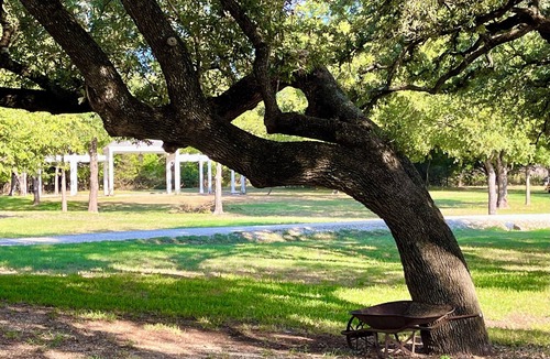 Clifton Cottage | AUDUBON Romantic Cottage on Private Country Estate-40 min. to Waco