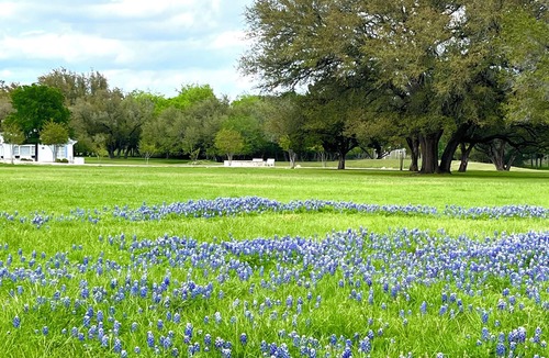 Clifton Cottage | AUDUBON Romantic Cottage on Private Country Estate-40 min. to Waco