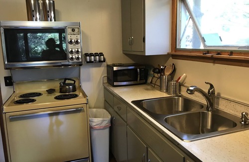 Silver Lake Cottage | AUG 1-15 OPEN, CUTE RETRO cabin, AC, Lake view, assoc. dock, pet friendly